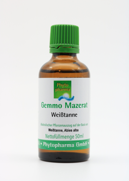 Gemmo Mazerat Weißtanne (Abies alba)